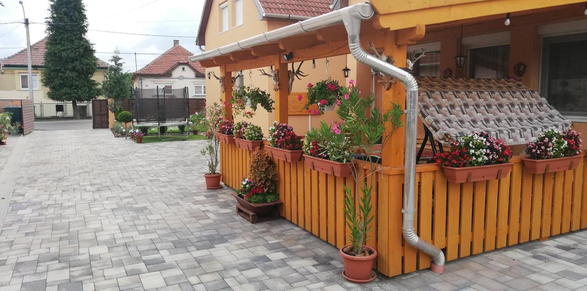 Agica Vendeghaz Villa Andornaktalya Luaran gambar