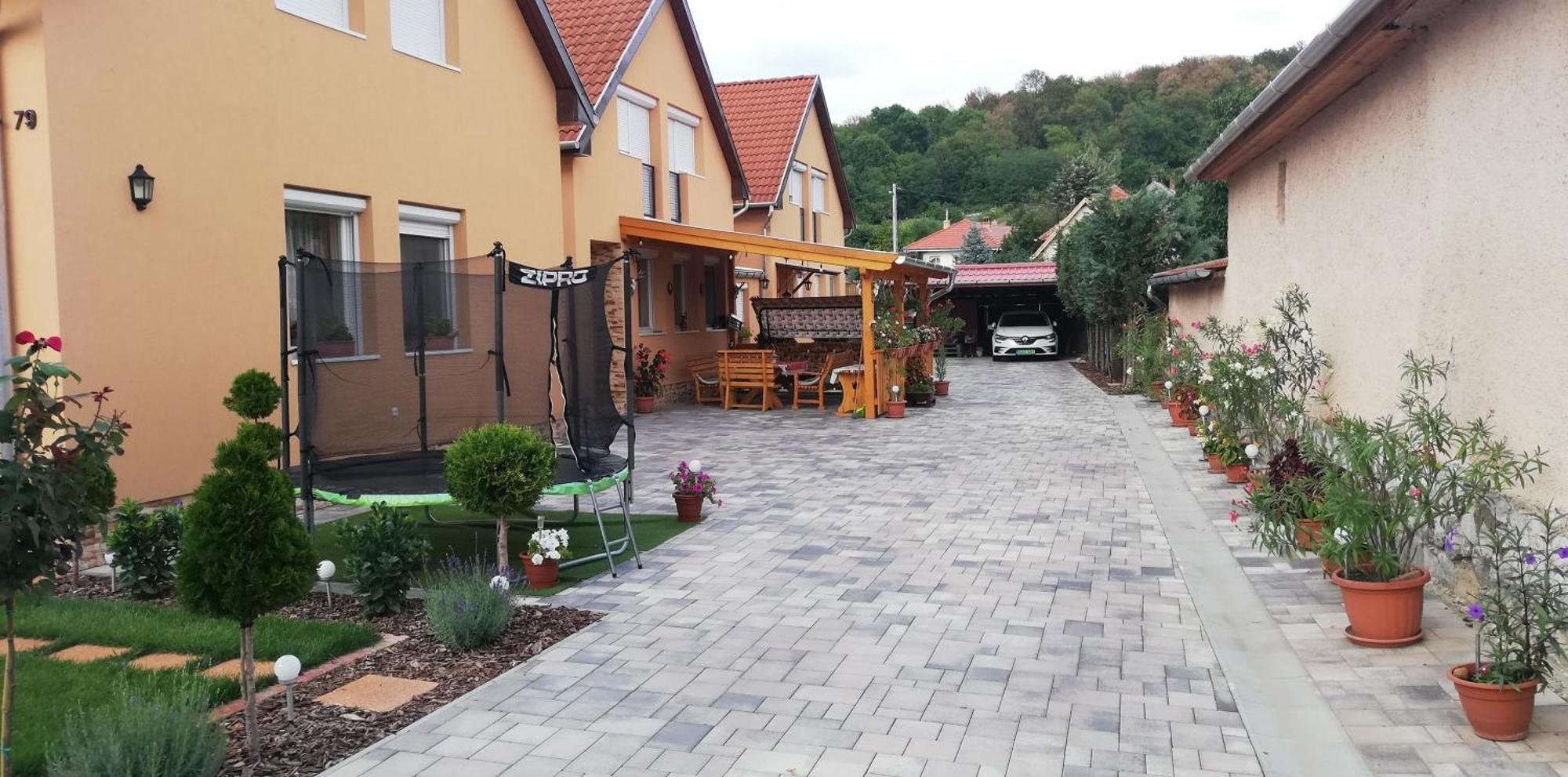 Agica Vendeghaz Villa Andornaktalya Luaran gambar